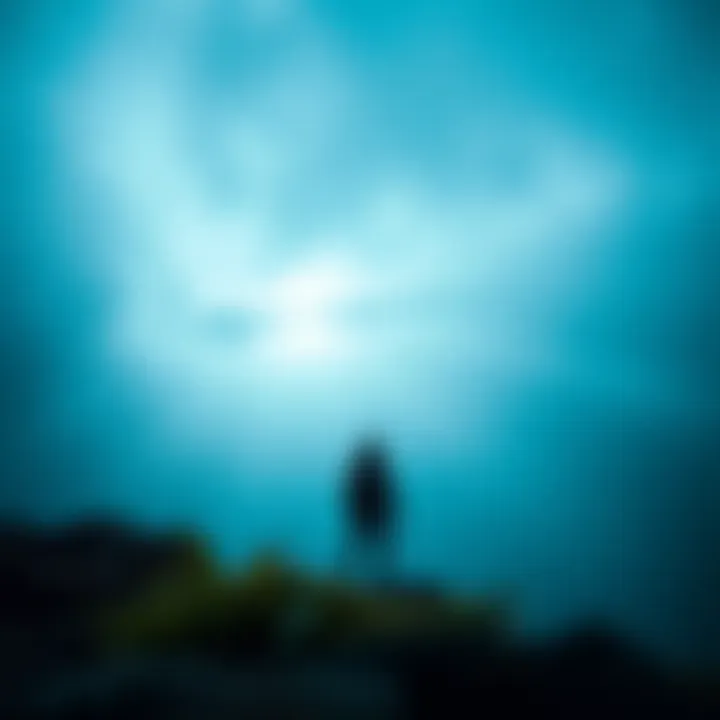 A symbolic representation of isolation and self-discovery