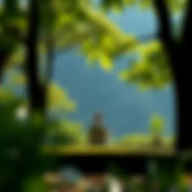 A serene setting illustrating mindfulness and reflection