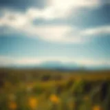 A serene landscape symbolizing personal growth