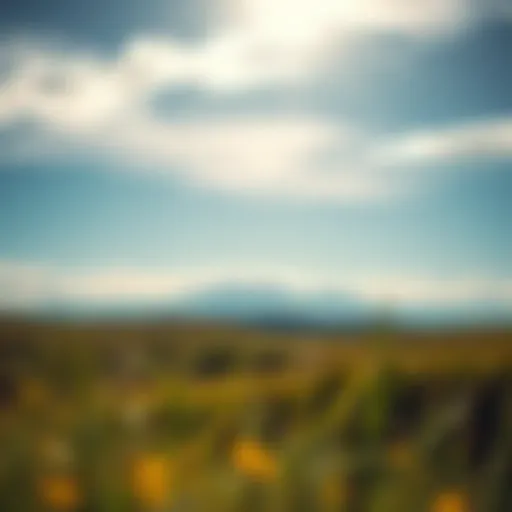 A serene landscape symbolizing personal growth