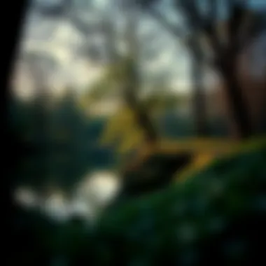 Calming nature scene evoking tranquility and peace