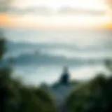 Quieting the Inner Landscape of the Introvert Introduction