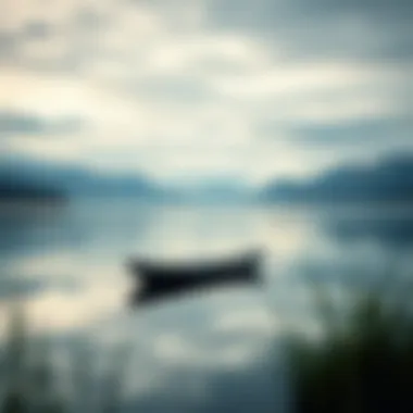 Nature's calmness embodied in a still lake