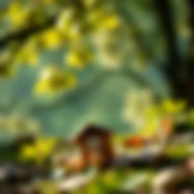 An inspiring quote enveloped in nature