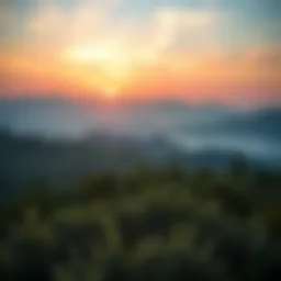 A serene landscape reflecting tranquility