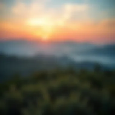 A serene landscape reflecting tranquility