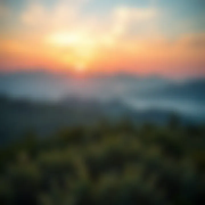 A serene landscape reflecting tranquility