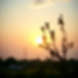 A serene morning sunrise symbolizing new beginnings