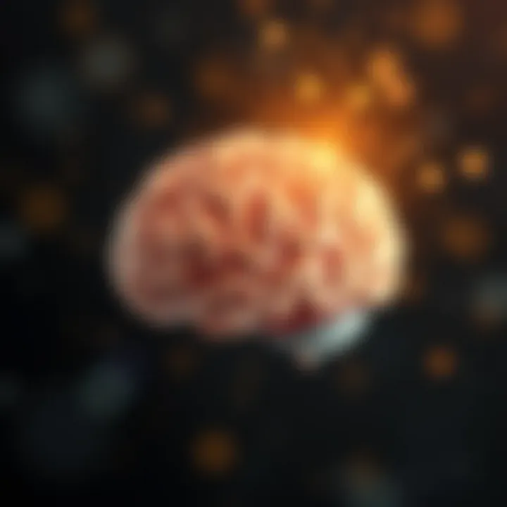 Understanding the Brain and Habit Formation Brain illustrating habit formation