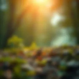 Strategies for Mitigating Climate Change Introduction