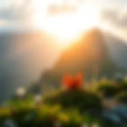 Inspiration from nature