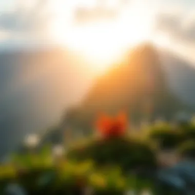 Nature's Wisdom Inspiration from nature