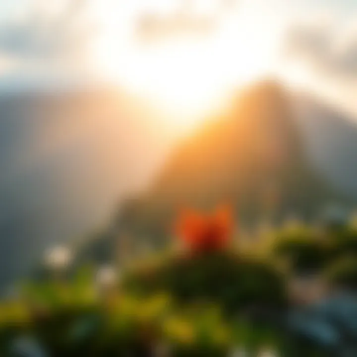 Nature's Wisdom Inspiration from nature