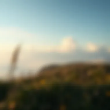 A serene landscape representing the introspective journey of readers.