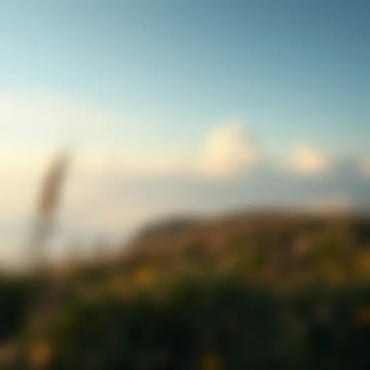 A serene landscape representing the introspective journey of readers.