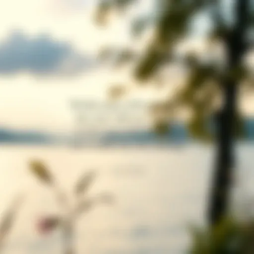 Inspirational quote on a serene background