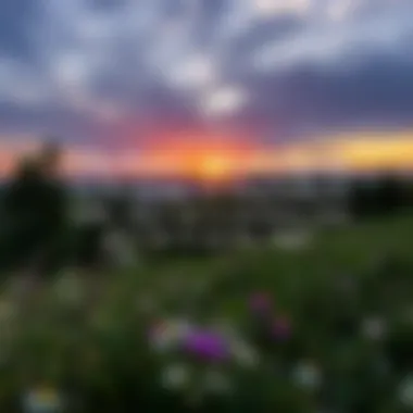 A serene landscape with a thought-provoking quote overlaid