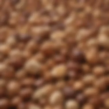 Nuts and Seeds for Mental Clarity An artistic arrangement of nuts and seeds representing mental clarity
