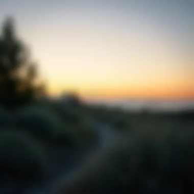 Journey Toward Fulfillment A serene landscape representing personal growth and fulfillment