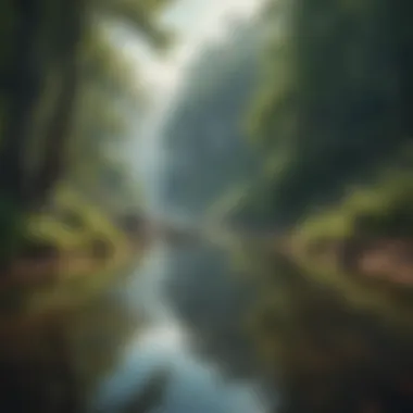 A Journey Within: Nature's Reflection A serene landscape symbolizing self-discovery