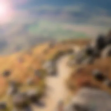 A visual metaphor for creativity and exploration, depicting a winding path through a vibrant landscape.