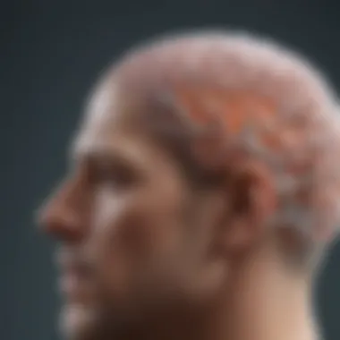 Neuroplasticity Explained Visualizing neuroplasticity in action