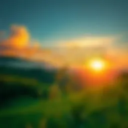 A serene landscape with a sunrise symbolizing new beginnings