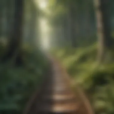 Journey of Personal Growth A pathway through a forest, signifying the journey of personal growth inspired by books.