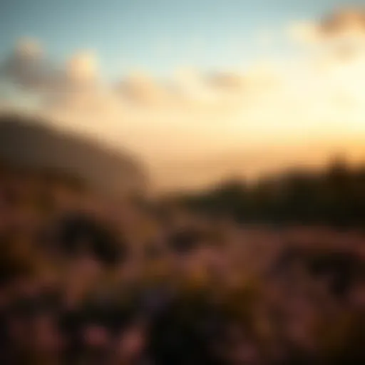 The Essence of Personal Growth A serene landscape symbolizing personal growth