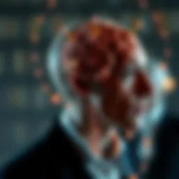 Representation of cognitive processes in decision-making