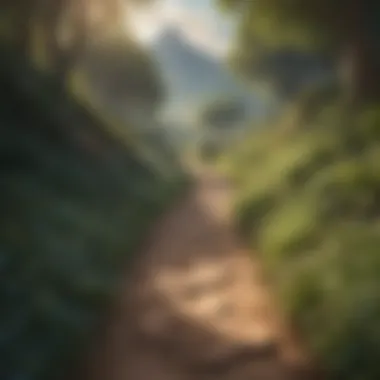The Path of Self-Discovery A winding path representing the journey of self-discovery