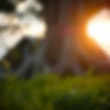 Understanding the Happiness Trap: A Complex Journey Introduction