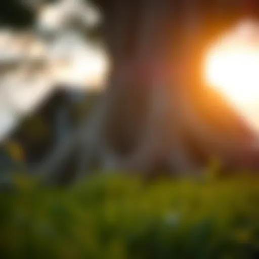 Understanding the Happiness Trap: A Complex Journey Introduction