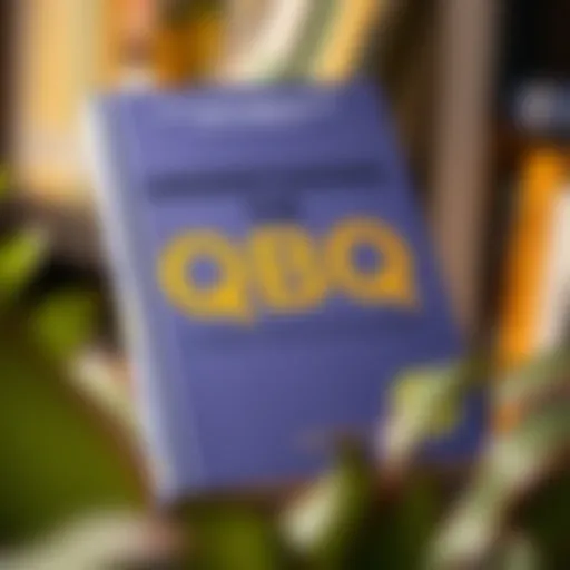 Understanding the QBQ Book: A Guide to Personal Accountability Introduction